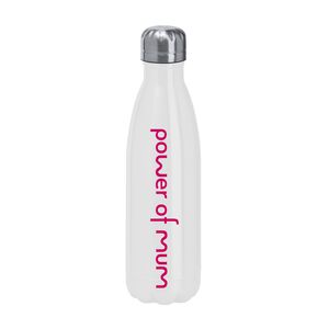 Standard Stainless Steel Bottle Thumbnail